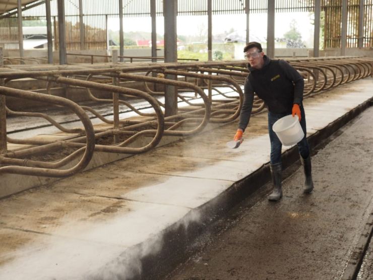 Farmer spreading hydrated cubicle lime