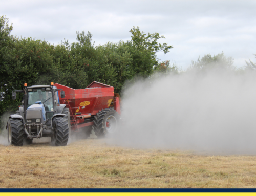 How lime application improves grassland productivity