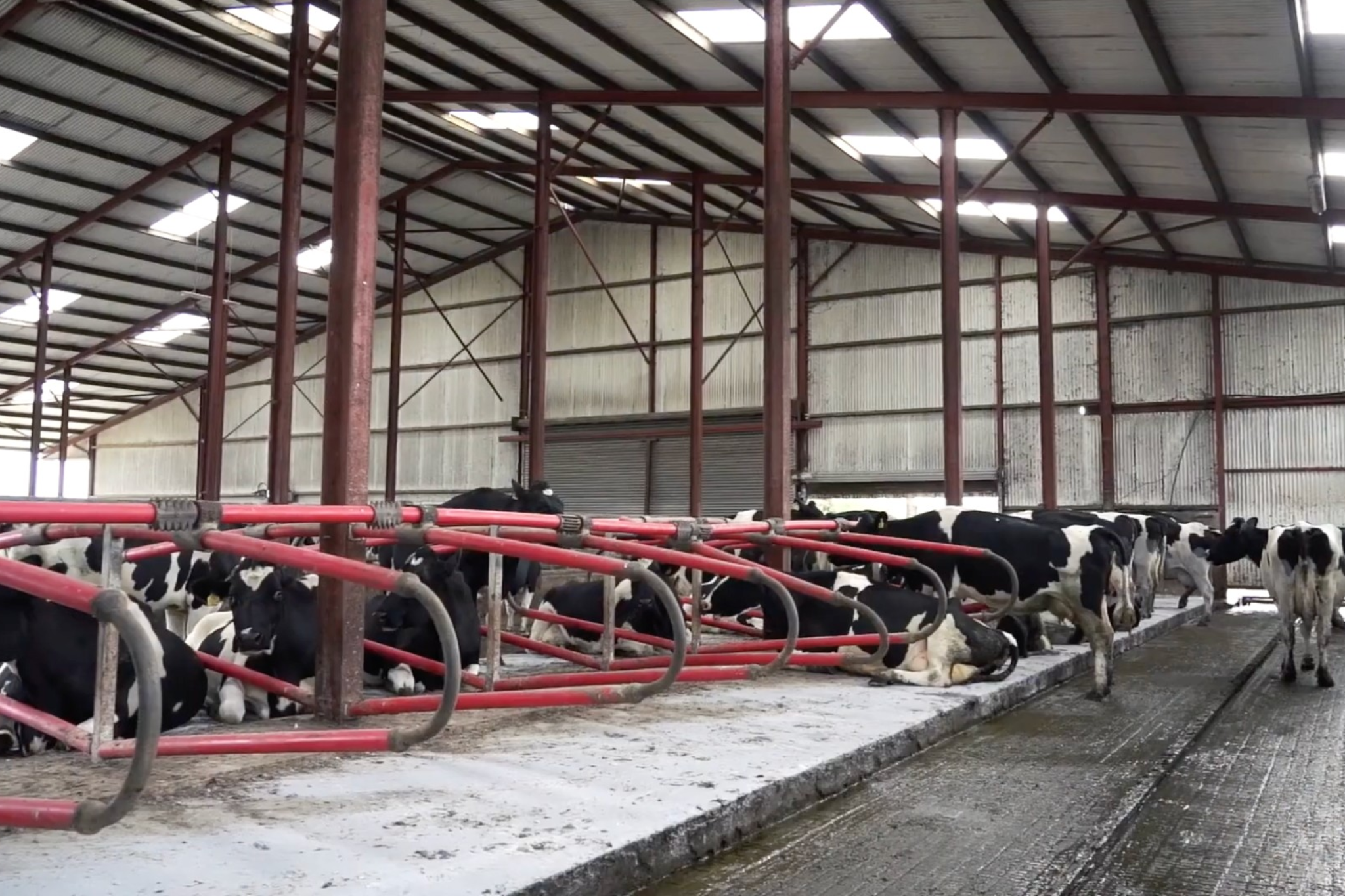 Cubicle Lime Website Customers - BBL (1)